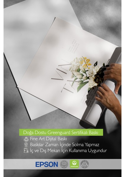 Siyah Çerçeveli Tablo, Beyaz Çiçek Minimalist, Ofis Dekoru Poster No: 111828
