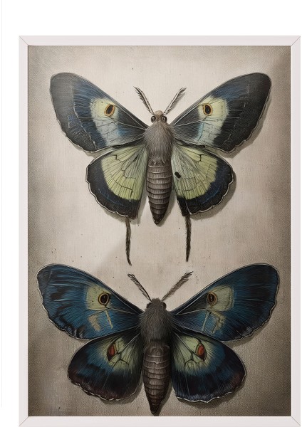 Beyaz Çerçeveli Tablo, Vintage Kelebek, Yatak Odası Dekoru Poster No: 112255