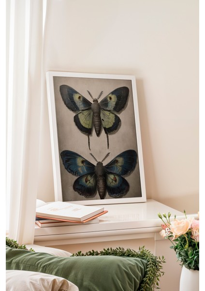 Beyaz Çerçeveli Tablo, Vintage Kelebek, Yatak Odası Dekoru Poster No: 112255 fiyatları