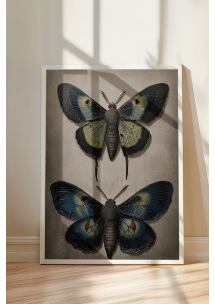 Beyaz Çerçeveli Tablo, Vintage Kelebek, Yatak Odası Dekoru Poster No: 112255 modelleri
