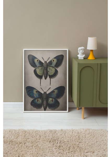 Beyaz Çerçeveli Tablo, Vintage Kelebek, Yatak Odası Dekoru Poster No: 112255 fırsatları