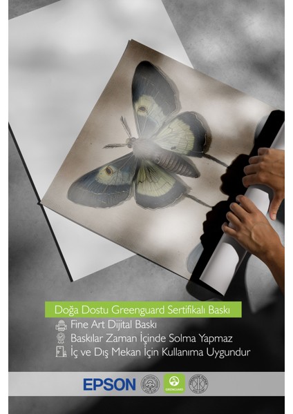 Beyaz Çerçeveli Tablo, Vintage Kelebek, Yatak Odası Dekoru Poster No: 112255