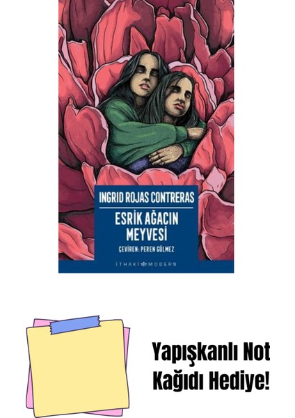 Esrik Ağacın Meyvesi + Yapışkanlı Not Kağıdı