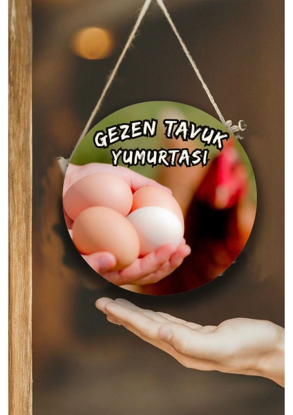 Gezen Tavuk Yumurtası Dükkanı Duvar, Kapı, Çift Taraflı Askılı Karşılama Tabela, Günlük Yumurta Süs modelleri