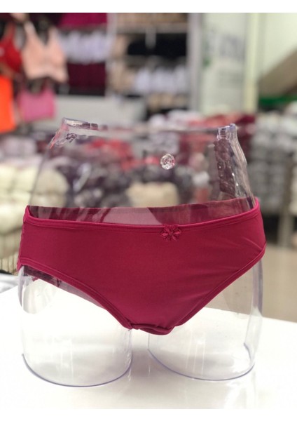 Iç Giyim Ebru Micro Kumaş Slip Külot Eko Paket (6 Adet)