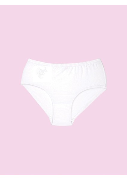 %100 Pamuk Işlemeli Slip Külot 101 (12 Adet) fiyatları