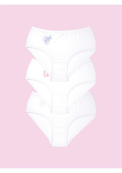 %100 Pamuk Işlemeli Slip Külot 101 (12 Adet) fırsatları