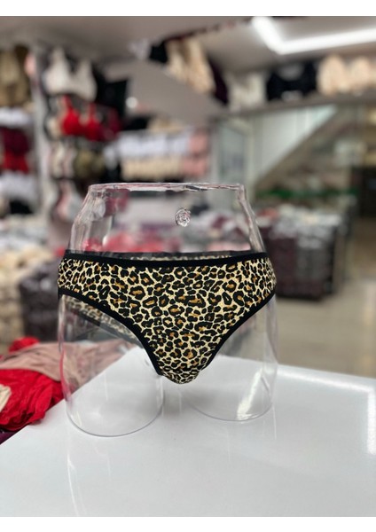 Iç Giyim Ebru Penye Slip Külot Eko Paket (6 Adet)