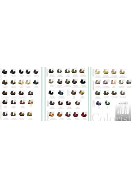 Master Colorıst 60 ml Tüp Boya Saç Boyası 60 Renk Kuaför 4 fiyatları