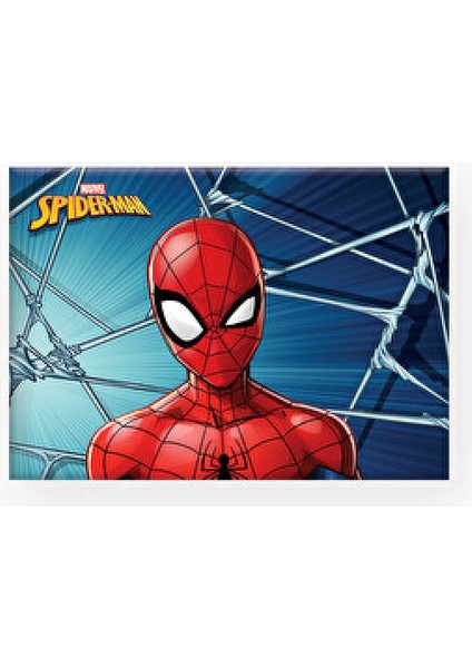 Çıtçıtlı Çok Bölmeli Şeffaf Dosya, Pratik ve Şık Evrak Düzenleyici