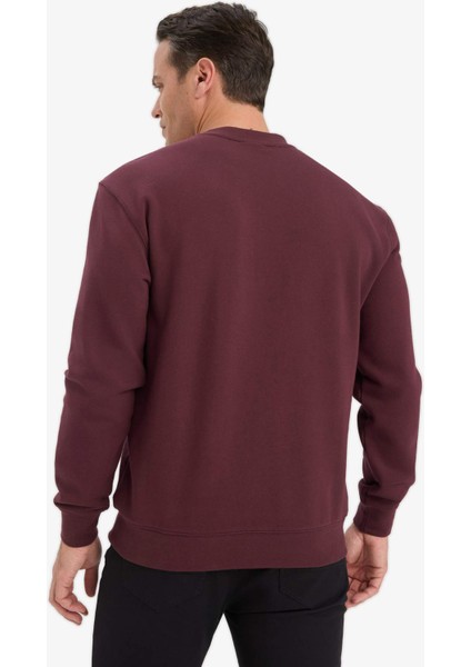 %100 Pamuk Regular Fit Bisiklet Yaka Sweatshirt E8339AX25AU fırsatları