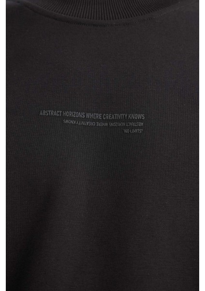 Boxy Fit Bisiklet Yaka İçi Yumuşak Tüylü Baskılı Sweatshirt X8282AZ25AU fırsatları