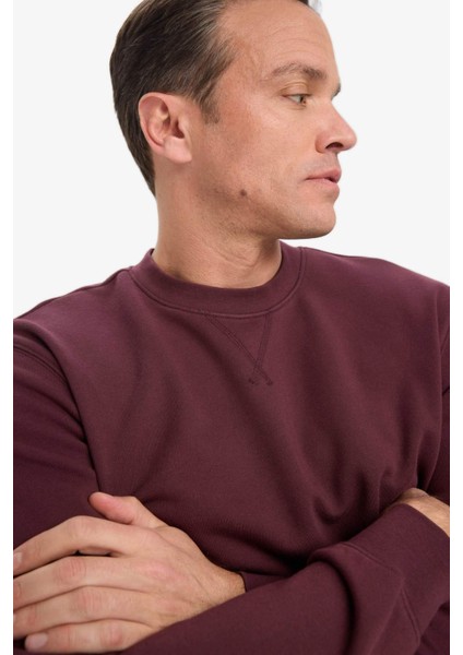 %100 Pamuk Regular Fit Bisiklet Yaka Sweatshirt E8339AX25AU modelleri