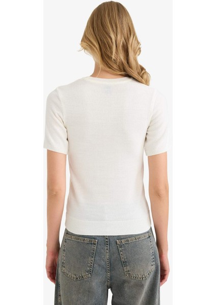 Regular Fit Bisiklet Yaka Kısa Kollu Triko Kazak E6810AX25AU indirimleri