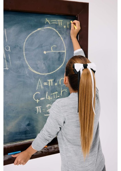 Kız Çocuk Kurdele Detaylı Toka F6497AXNS