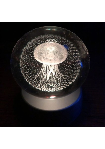 Renkli Deniz Anası Cam Küre, Şık ve Doğal Dekoratif Obje