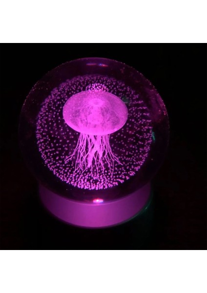 Renkli Deniz Anası Cam Küre, Şık ve Doğal Dekoratif Obje modelleri