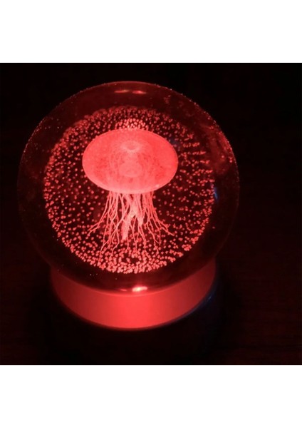 Renkli Deniz Anası Cam Küre, Şık ve Doğal Dekoratif Obje fırsatları