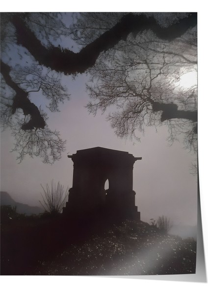 Çerçevesiz Poster, Siluet Ağaç ve Gökyüzü, Salon Dekoru Poster No: 112126