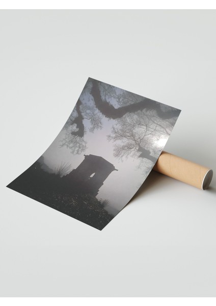 Çerçevesiz Poster, Siluet Ağaç ve Gökyüzü, Salon Dekoru Poster No: 112126 modelleri