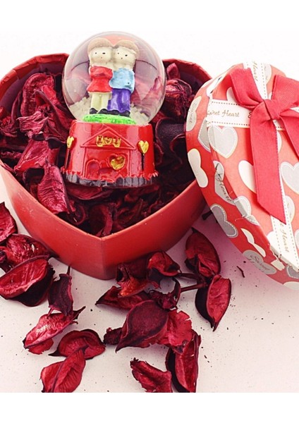 Sevimli Çift Temalı Mini Kar Küresi Işıklı, Kalp Kutuda, 6,5 cm modelleri