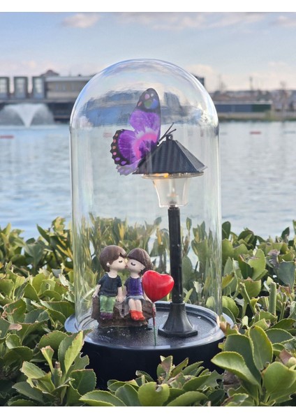 Renkli Işıklı Cam Fanus, Şık ve Huzurlu Dekorasyon Parçası