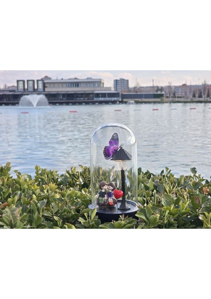 Renkli Işıklı Cam Fanus, Şık ve Huzurlu Dekorasyon Parçası fiyatları