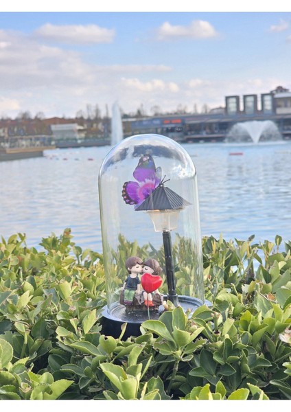 Renkli Işıklı Cam Fanus, Şık ve Huzurlu Dekorasyon Parçası modelleri