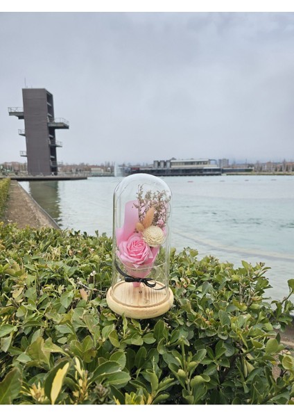 Pembe Gül Buketi Cam Fanus, Sevgililer ve Anneler Günü Için Özel Hediye