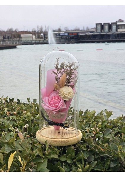 Pembe Gül Buketi Cam Fanus, Sevgililer ve Anneler Günü Için Özel Hediye fiyatları