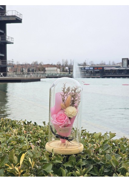 Pembe Gül Buketi Cam Fanus, Sevgililer ve Anneler Günü Için Özel Hediye modelleri