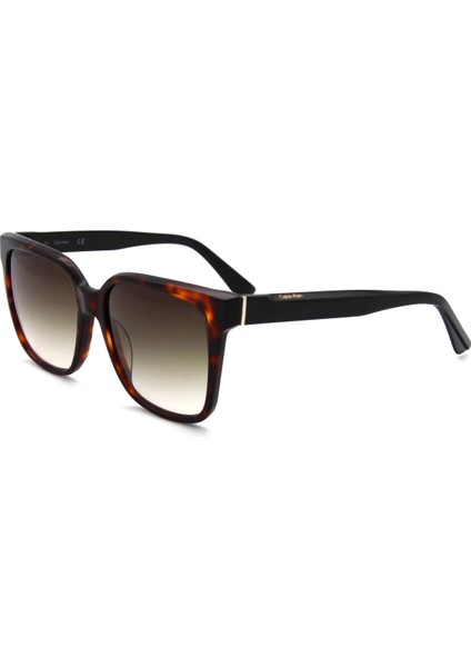 Ck 21530S C220 Kadın Güneş Gözlüğü