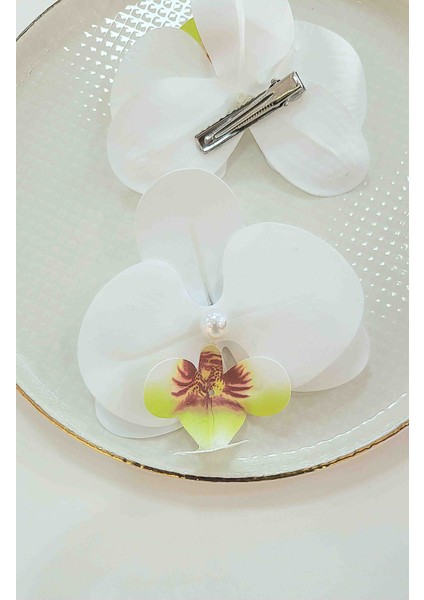 Orkide Toka fiyatları