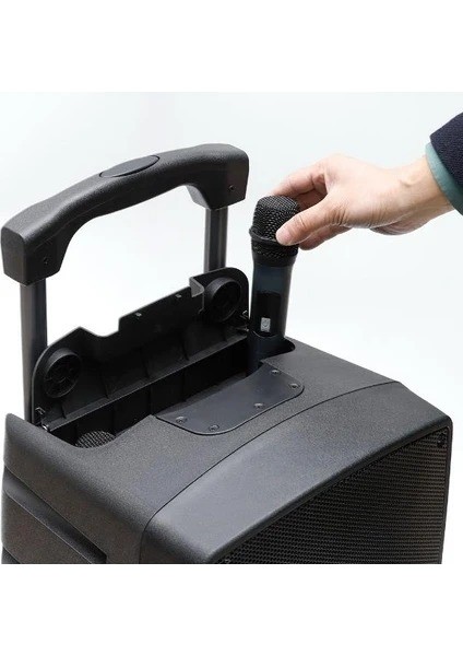 PA-2312EE 12" Taşınabilir Bluetooth Amfi Sistemi + 2 Kablosuz El Mikrofonu