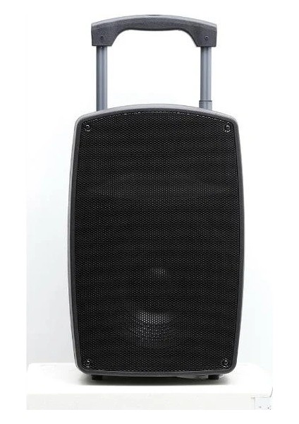 PA-2312EE 12" Taşınabilir Bluetooth Amfi Sistemi + 2 Kablosuz El Mikrofonu fiyatları