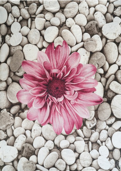 Kadife Dokulu, Lastikli, Süngerli, Kaymaz, Yıkanabilir Modern Desenlerde Halı Örtüsü - 6 M2 modelleri