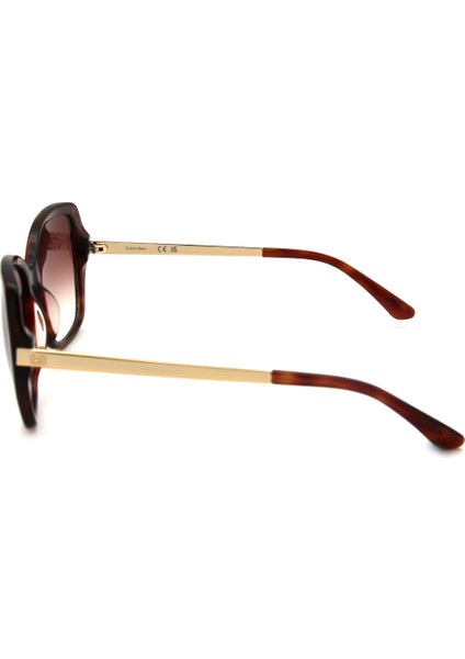 Ck 21704S C260 Kadın Güneş Gözlüğü fırsatları