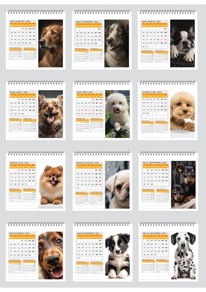 2026 Köpek Masa Takvimi modelleri
