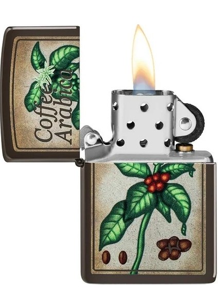 Coffee Arabica Dizayn Çakmak modelleri