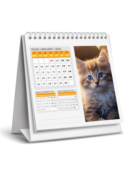 2026 Kedi Masa Takvimi