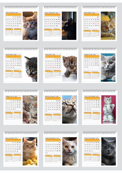 2026 Kedi Masa Takvimi modelleri