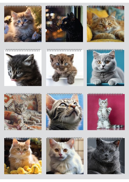 2026 Kedi Masa Takvimi fırsatları