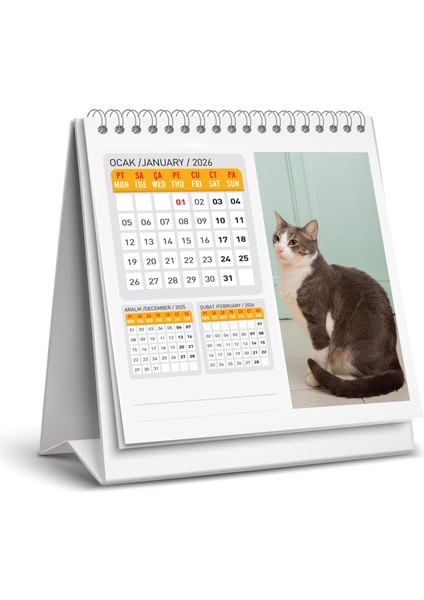 2026 Kedi Masa Takvimi fiyatları
