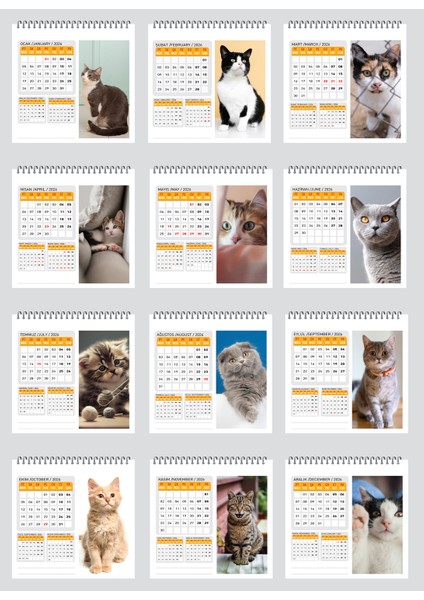 2026 Kedi Masa Takvimi modelleri