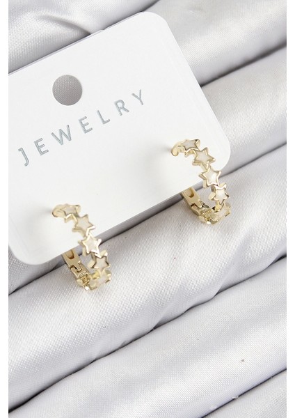 Bfs Pirinç Zirkon Taşlı Yıldız Model Gold Renk Kadın Küpe