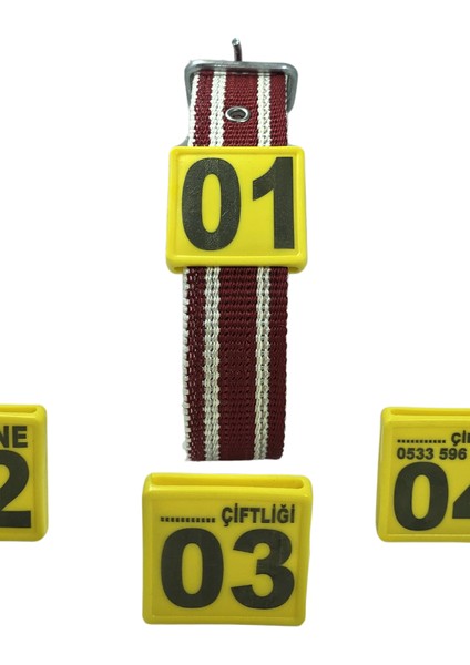 250 Adet Sarı Renk Küçükbaş Hayvan Boyunluk Kemer ve Numaratör Takımı (Kemer+Numara)