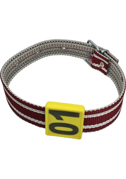 250 Adet Sarı Renk Küçükbaş Hayvan Boyunluk Kemer ve Numaratör Takımı (Kemer+Numara) modelleri