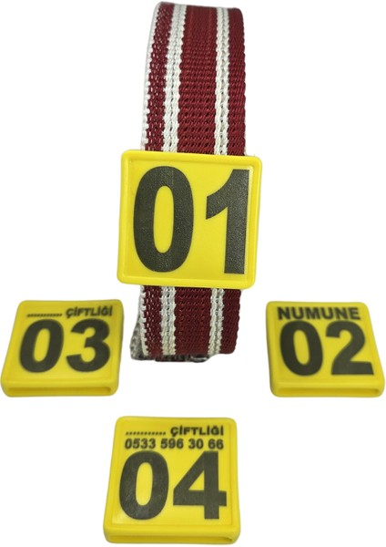 250 Adet Sarı Renk Küçükbaş Hayvan Boyunluk Kemer ve Numaratör Takımı (Kemer+Numara)