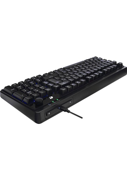 eMachines EAK860 Siyah USB Rainbow Aydınlatmalı Q Standart Kompakt Klavye indirimleri