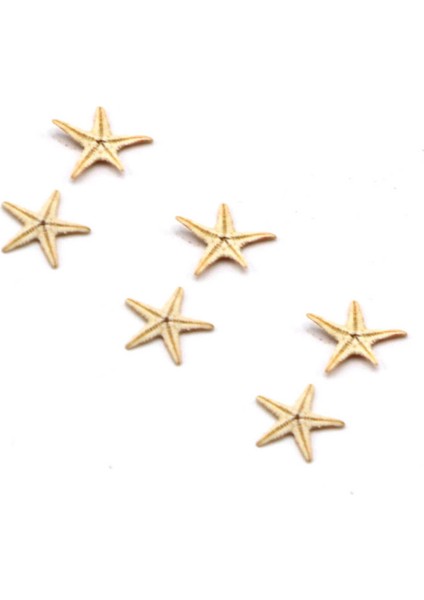 Kurutulmuş Gerçek Deniz Yıldızı 10 Adet